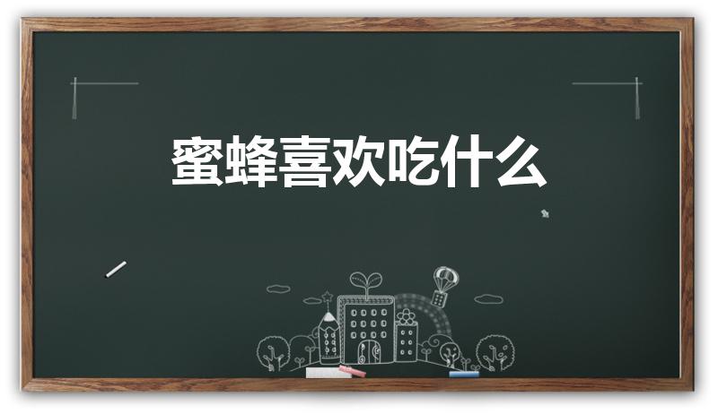 蜜蜂喜欢吃什么（蜜蜂它主要吃什么蜜蜂它主要吃什么）