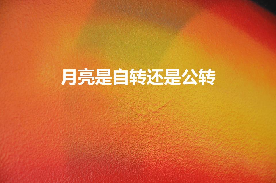 月亮是自转还是公转（月球自转吗）