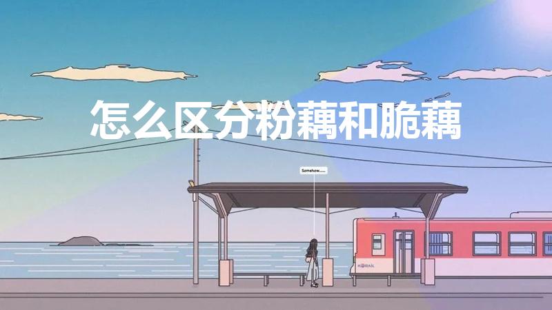 怎么区分粉藕和脆藕（怎样区分粉藕和脆藕芭芭农场）