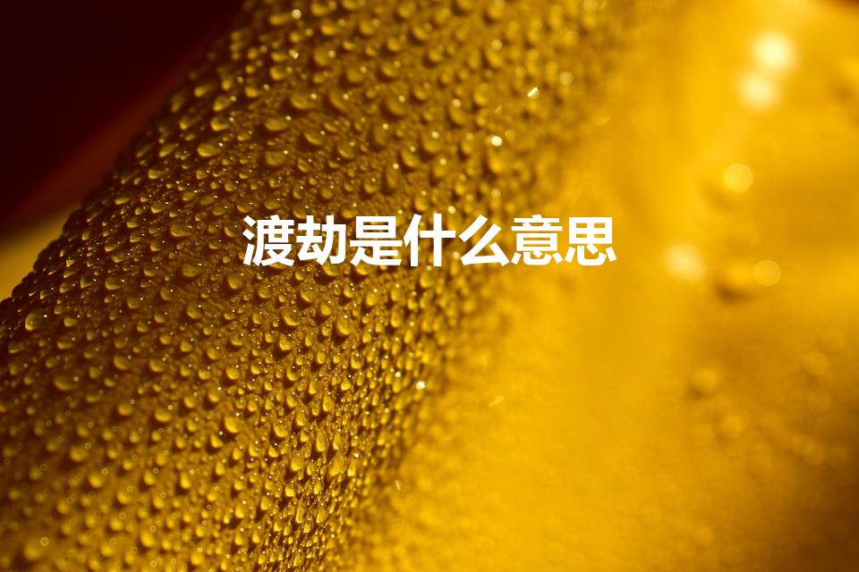 渡劫是什么意思（渡劫是什么意思渡劫的含义）
