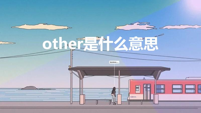 other是什么意思（other的意思是什么）