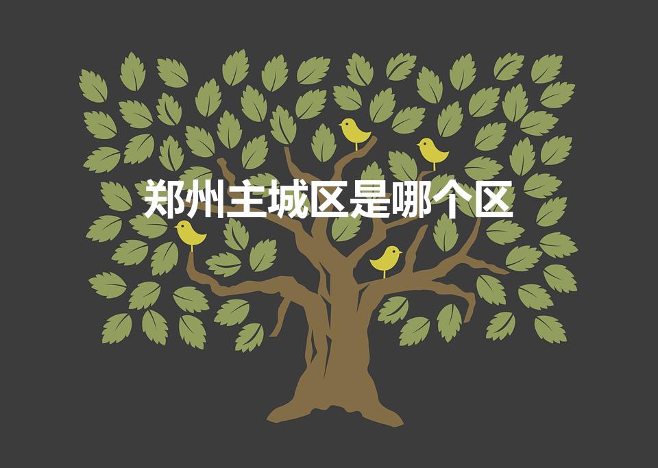 郑州主城区是哪个区（郑州市中心在哪个区）