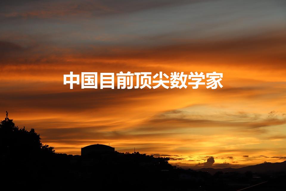 中国目前顶尖数学家（中国哪些数学家最有名气）