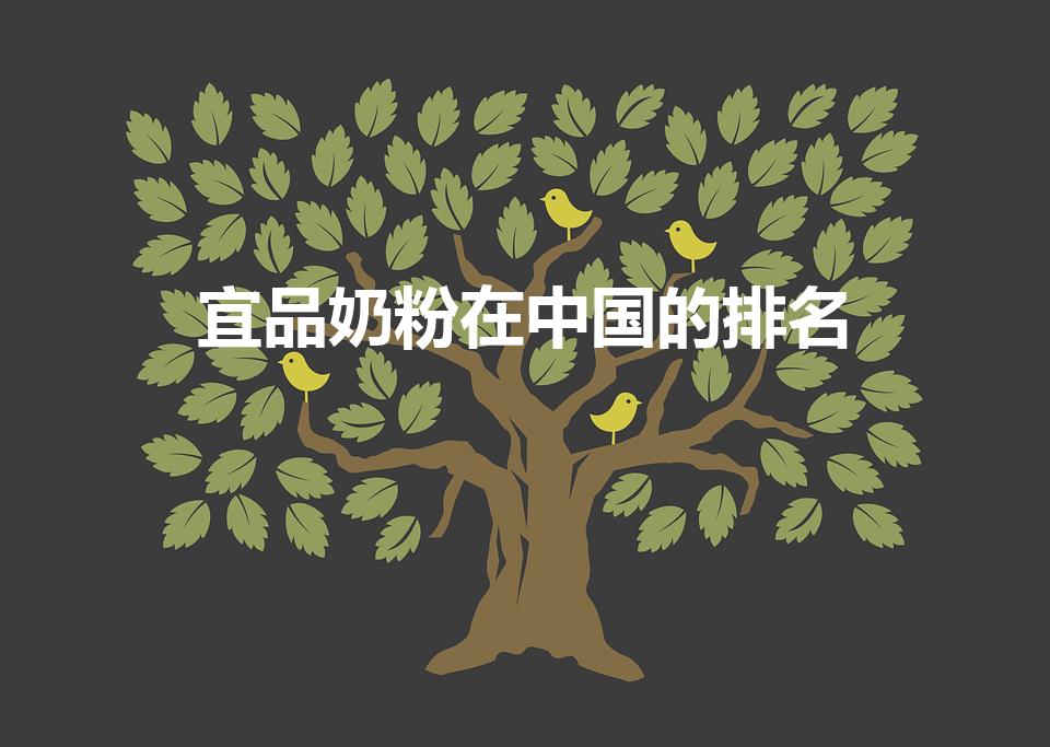 宜品奶粉在中国的排名