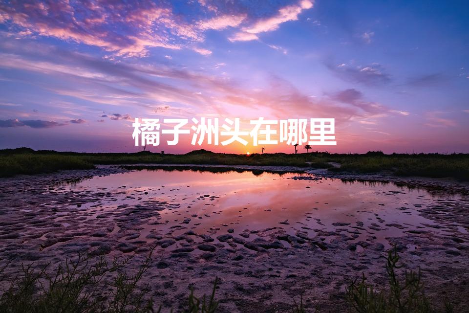 橘子洲头在哪里（橘子洲头位于哪里）