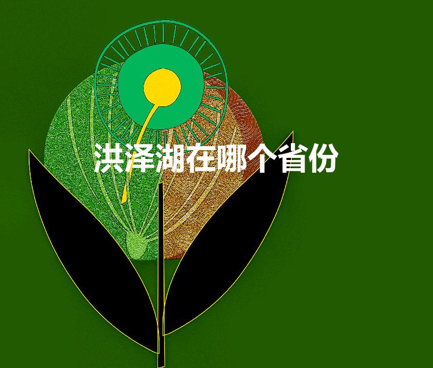 洪泽湖在哪个省份（洪泽湖在哪个省哪个市）