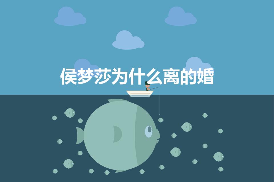 侯梦莎为什么离的婚（侯梦莎结了几次婚）