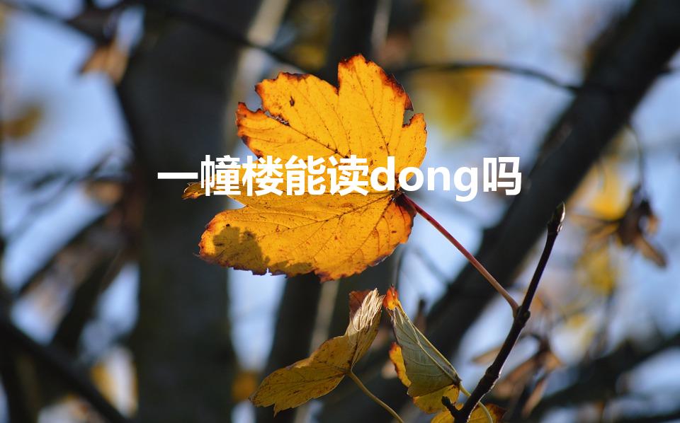 一幢楼能读dong吗（幢是读dong还是zhuang）