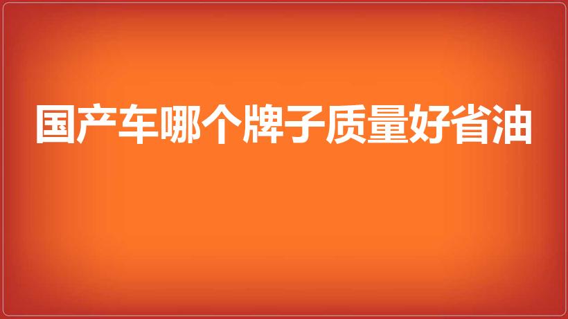国产车哪个牌子质量好省油（国产车哪个牌子质量好还省油）