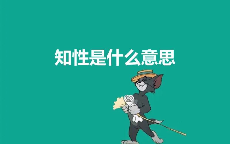 知性是什么意思（知性是指什么意思）