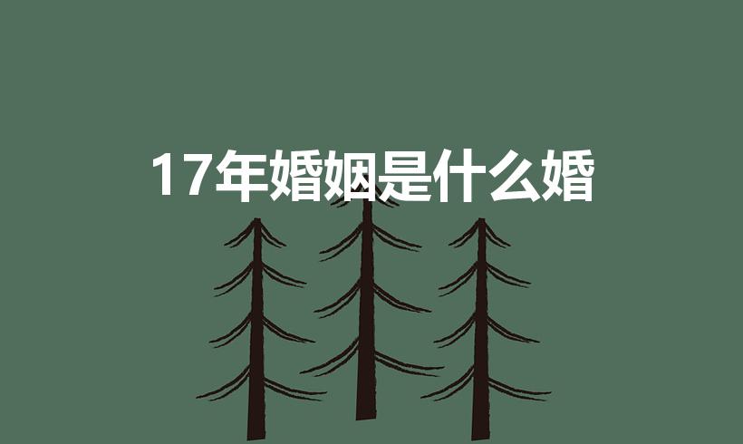 17年婚姻是什么婚（结婚十七周年是什么婚）