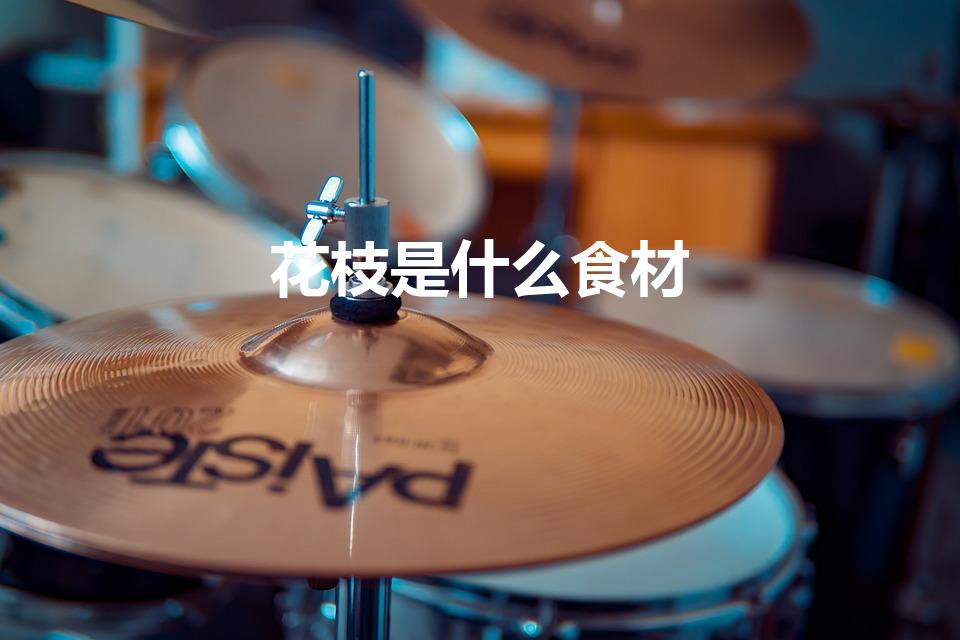 花枝是什么食材（花枝片是什么食材）
