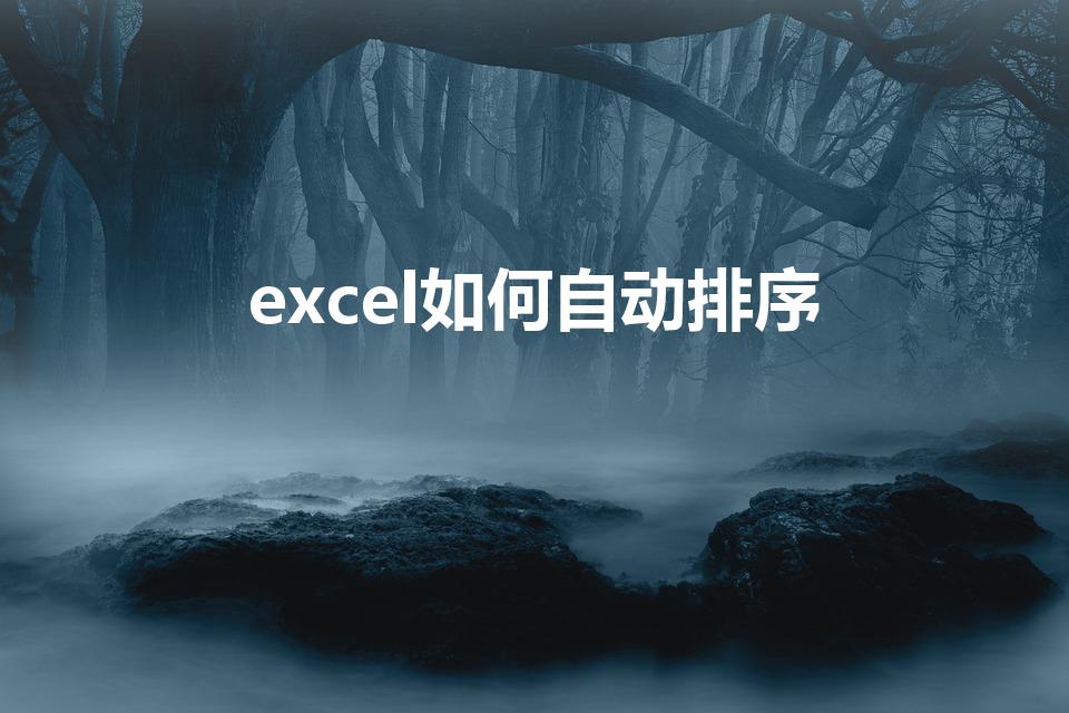 excel如何自动排序（excel怎么自动排序数字）