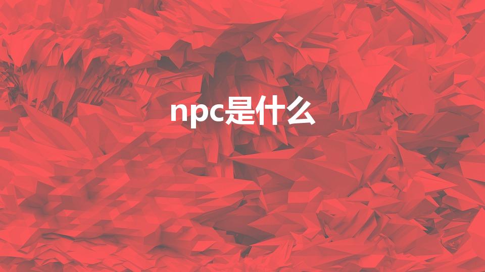 npc是什么