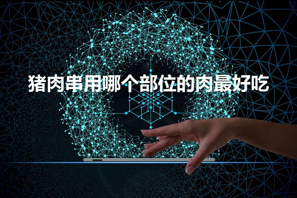 猪肉串用哪个部位的肉最好吃（烧烤用猪肉哪个部位比较好）