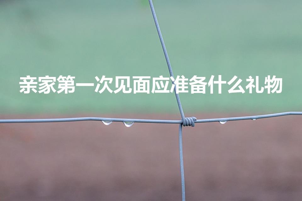 亲家第一次见面应准备什么礼物（亲家初次见面送什么礼合适）