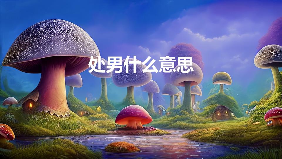 处男什么意思（处男是什么意思）
