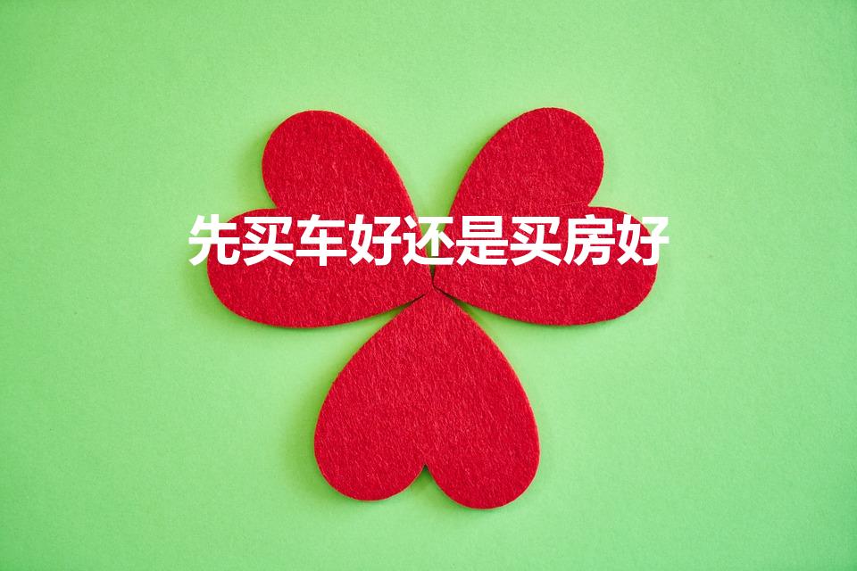 先买车好还是买房好（先买房好还是买车好）