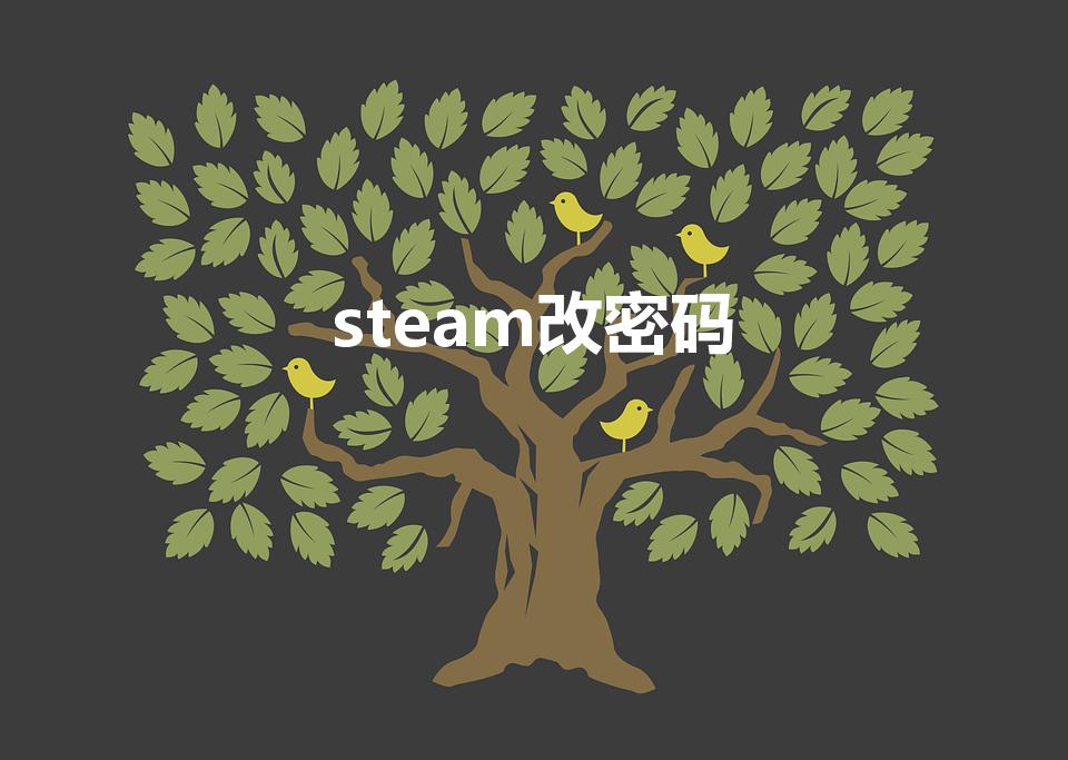 steam改密码（怎样修改Steam密码）