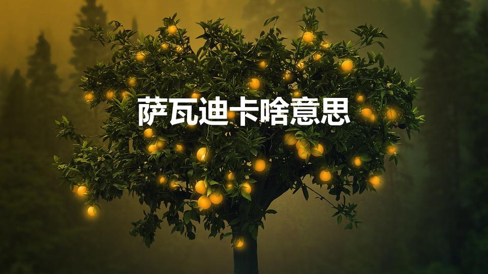 萨瓦迪卡啥意思（萨瓦迪卡泰国语是什么意思）