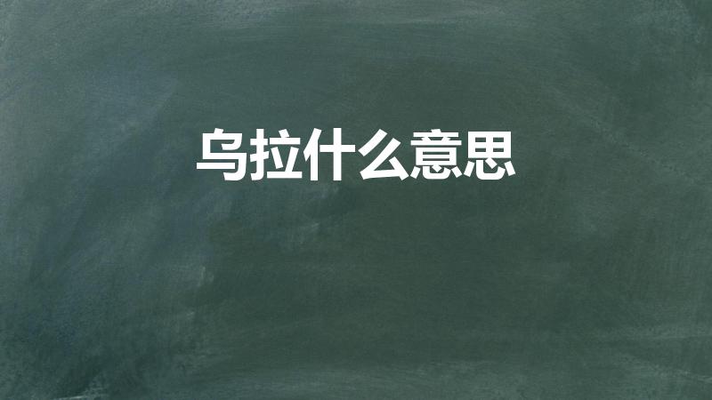 乌拉什么意思（网络用语乌拉翻译成中文）
