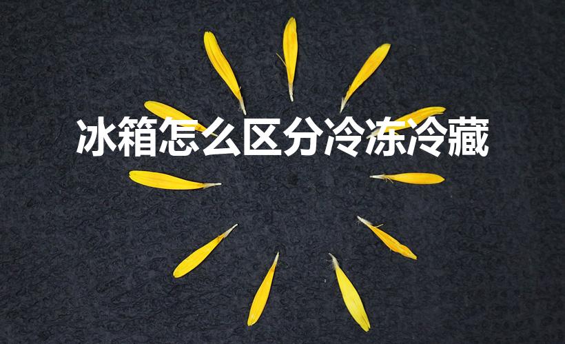 冰箱怎么区分冷冻冷藏（冰箱怎么区分冷藏与冷冻）