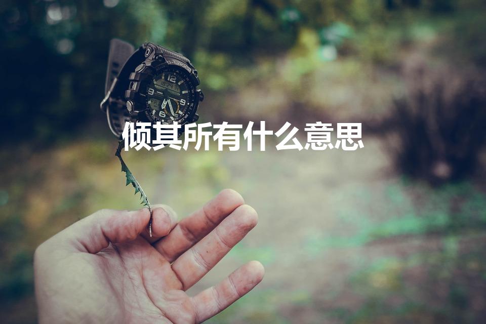 倾其所有什么意思（投其所好,倾其所有 具体是什么意思了）