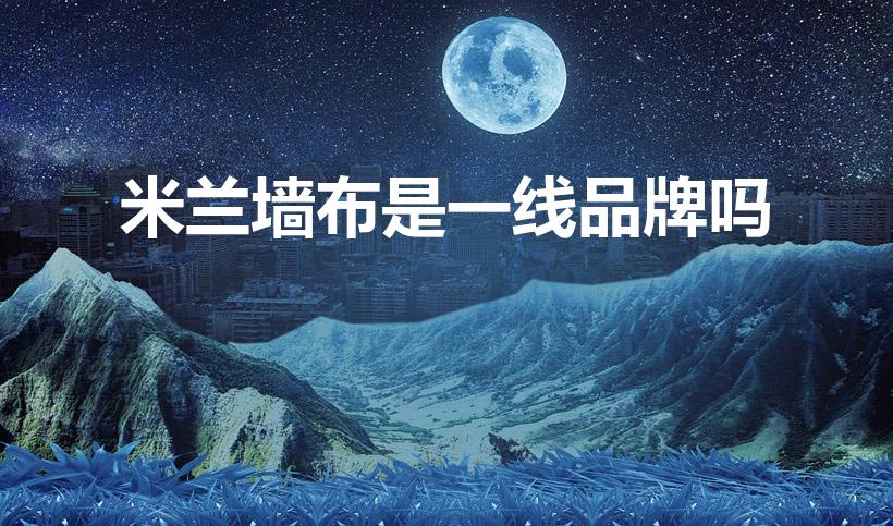 米兰墙布是一线品牌吗（米兰墙布属于一线品 牌吗）