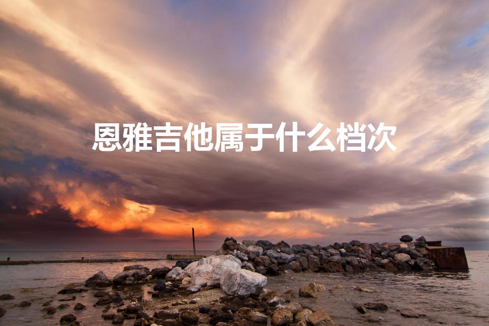 恩雅吉他属于什么档次（恩雅吉他怎么样）