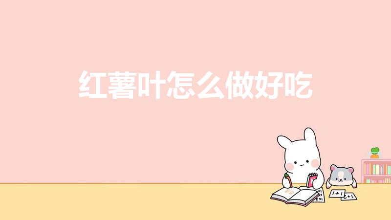 红薯叶怎么做好吃（红薯叶怎么做才好吃）