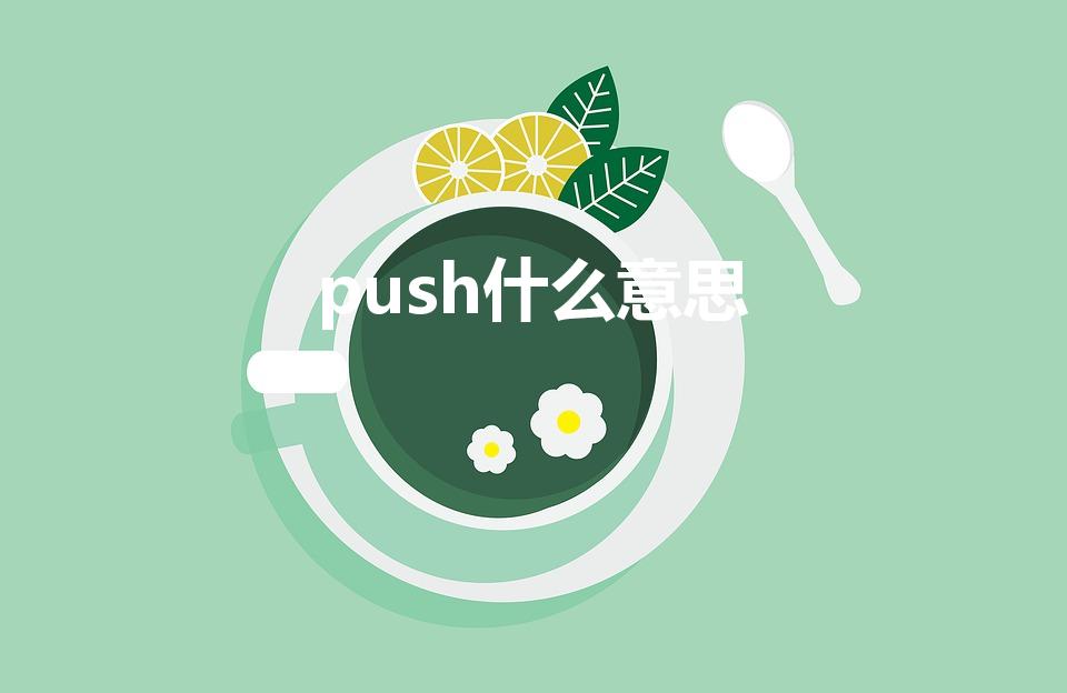 push什么意思（英文push是什么意思）