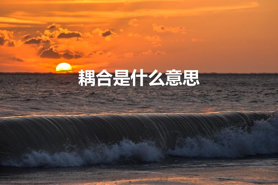 耦合是什么意思（耦合的意思耦合的意思是什么）