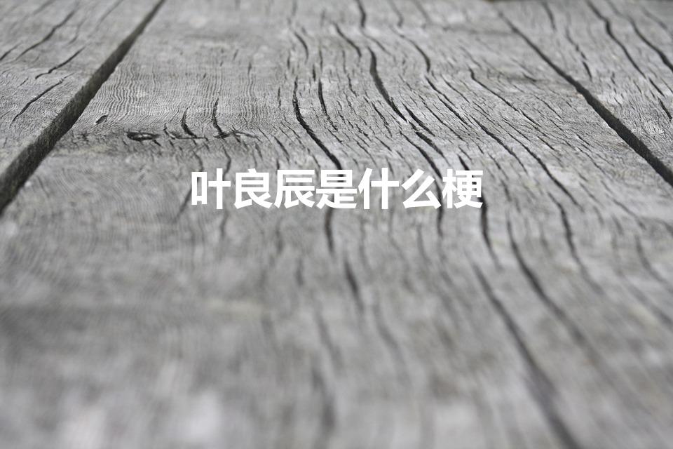 叶良辰是什么梗（叶良辰是什么时候的梗）