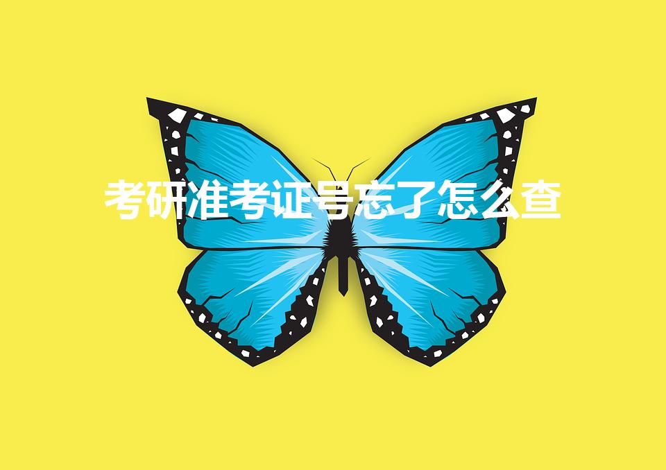 考研准考证号忘了怎么查（研究生准考证号忘了,怎么查询）