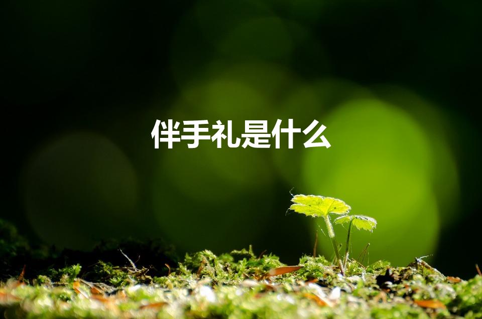 伴手礼是什么（结婚伴手礼是什么意思）
