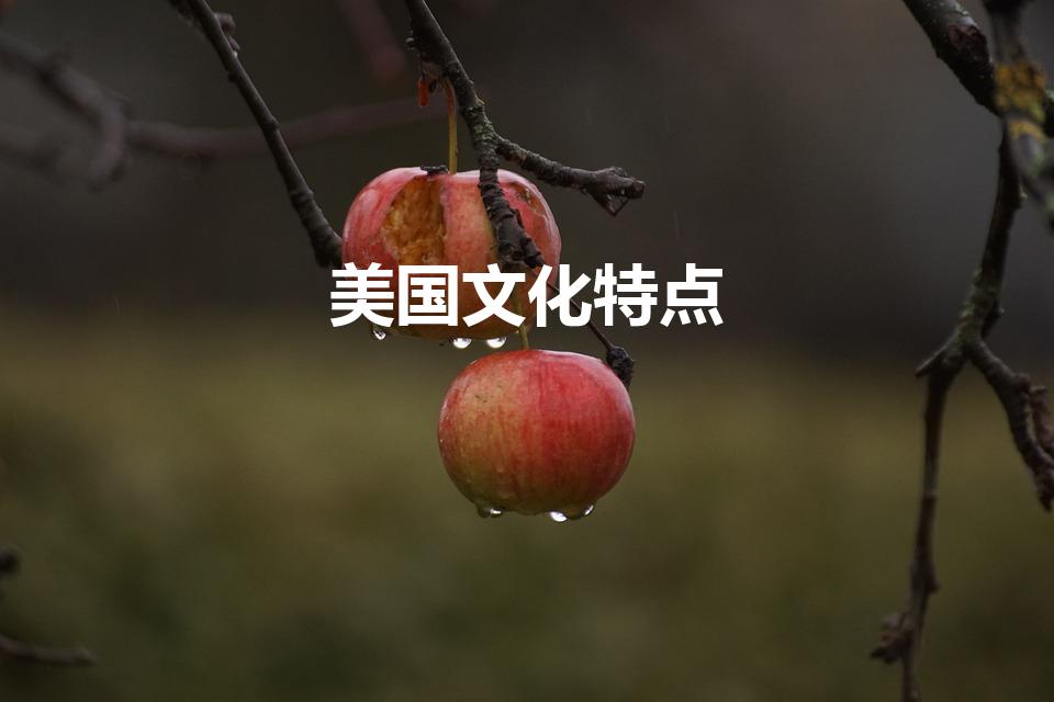 美国文化特点（美国文化五大特征）