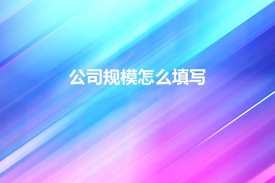 公司规模怎么填写（公司的规模怎么写）