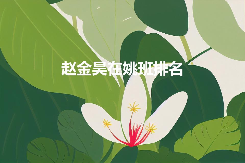 赵金昊在姚班排名（最强大脑赵金昊是哪一期）