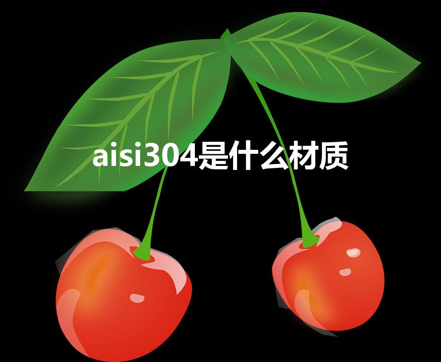 aisi304是什么材质（ALSL304是什么意思）
