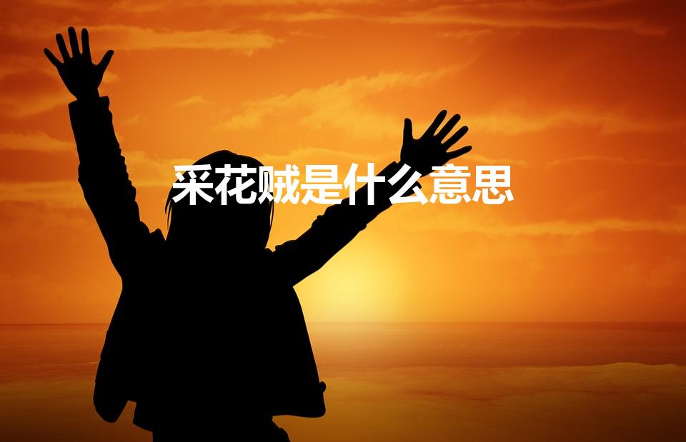 采花贼是什么意思（彩花贼是什么意思）