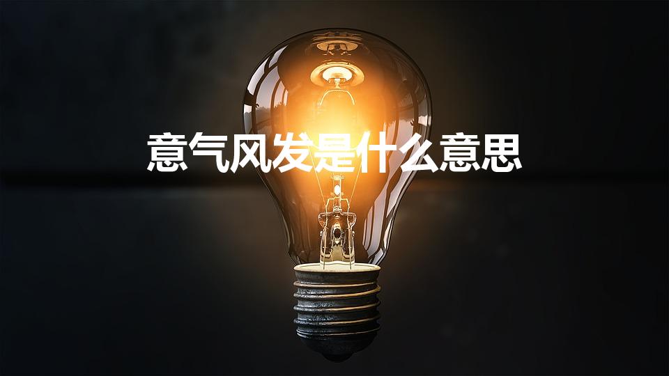 意气风发是什么意思（意气风发的意思）