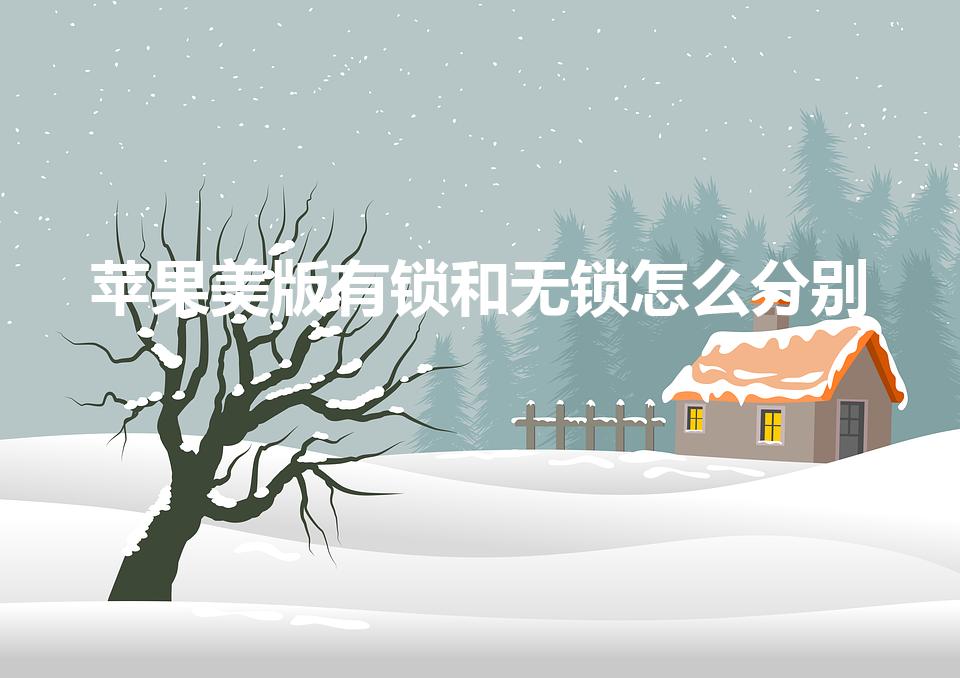 苹果美版有锁和无锁怎么分别（如何看美版苹果是有锁无锁）