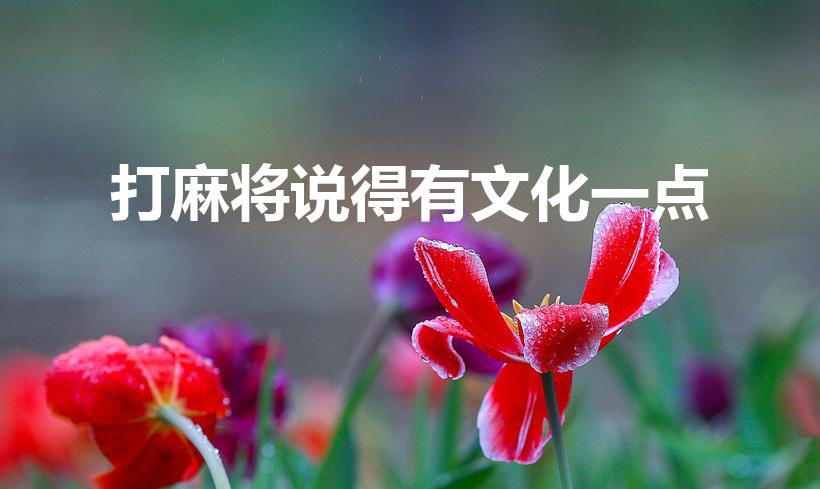 打麻将说得有文化一点（怎么把打麻将说得高大上）