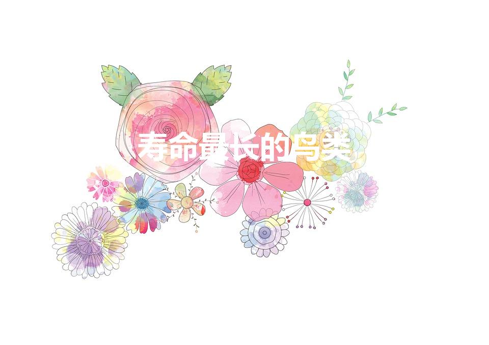 寿命最长的鸟类（寿命最长的鸟）