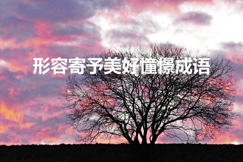 形容寄予美好憧憬成语（对未来美好的憧憬四字词语有哪些）