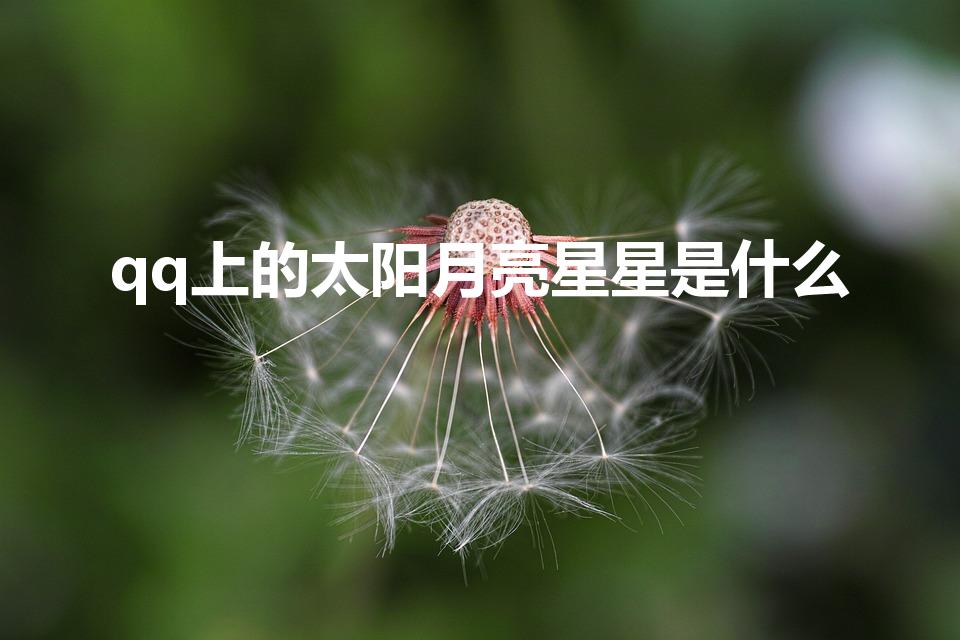 qq上的太阳月亮星星是什么（qq的太阳月亮星星代表什么）