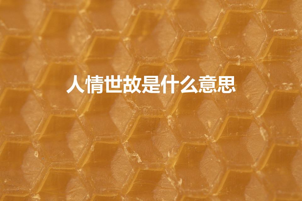 人情世故是什么意思（人情世故怎么解释）