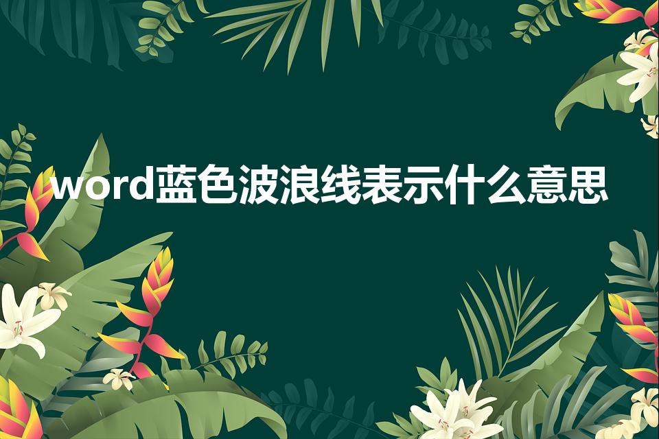 word蓝色波浪线表示什么意思
