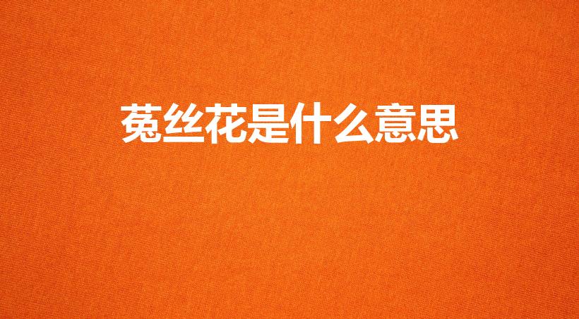 菟丝花是什么意思（菟丝花的含义）