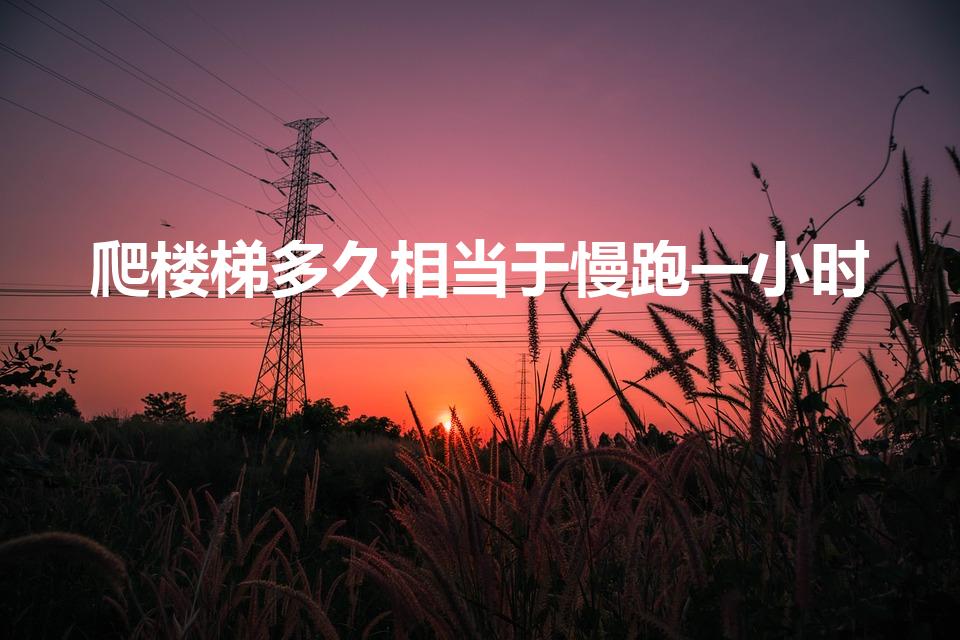 爬楼梯多久相当于慢跑一小时（爬50层楼梯相当于跑多远）